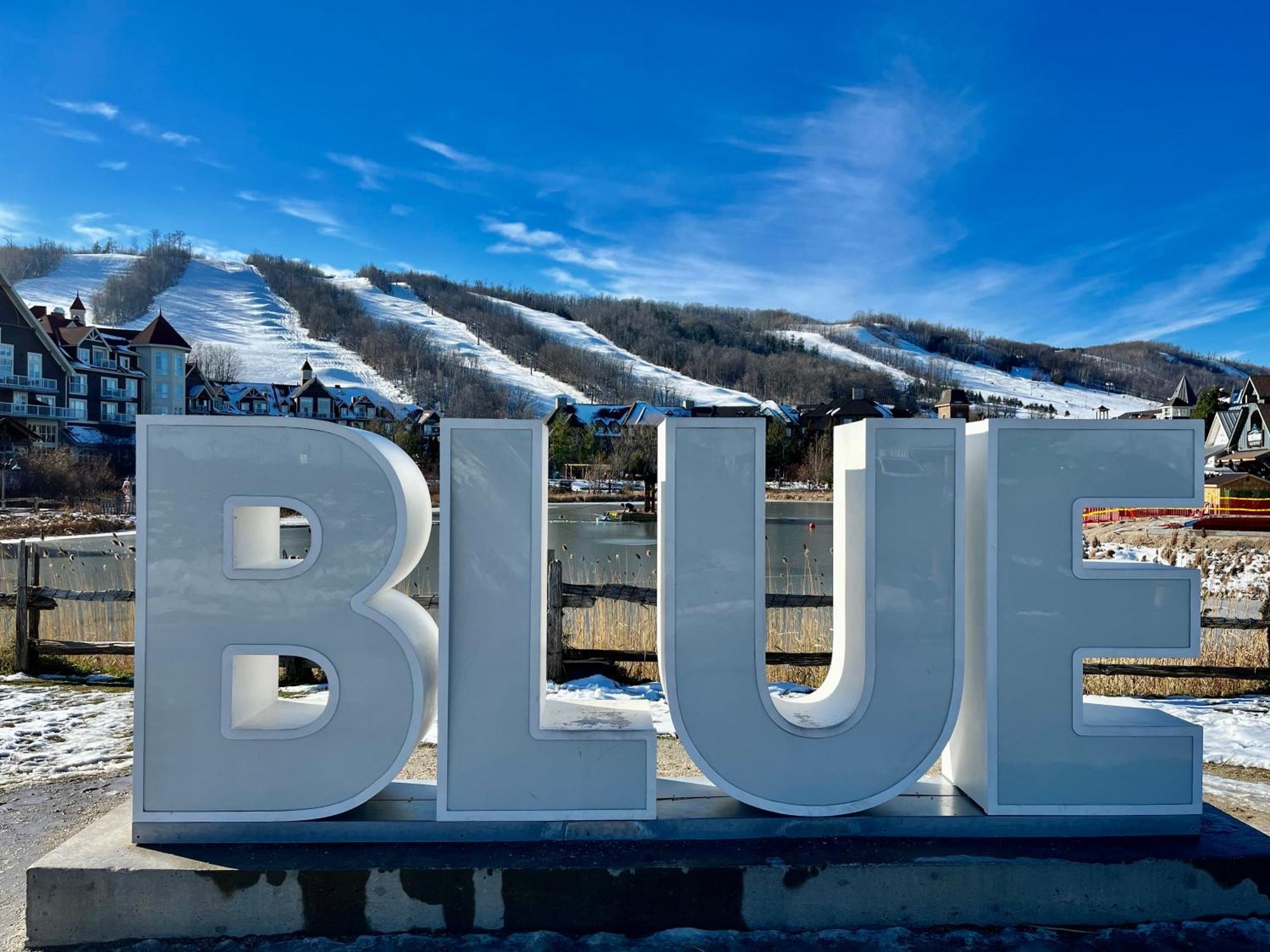 Blue Mountain Studio Oasis Blue Mountains Ngoại thất bức ảnh