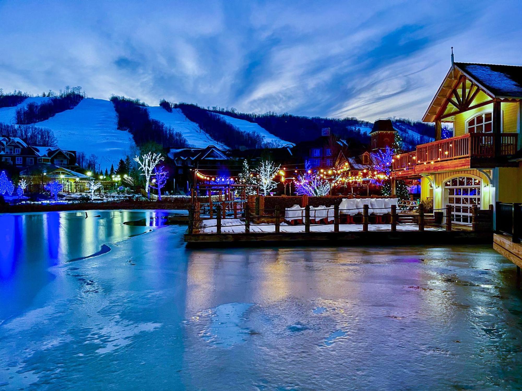 Blue Mountain Studio Oasis Blue Mountains Ngoại thất bức ảnh